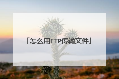 怎么用FTP传输文件