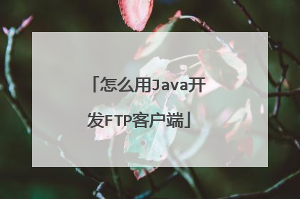 怎么用Java开发FTP客户端