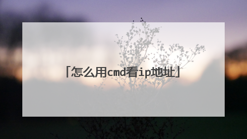 怎么用cmd看ip地址