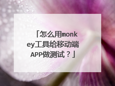 怎么用monkey工具给移动端APP做测试?