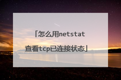 怎么用netstat查看tcp已连接状态