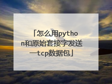 怎么用python和原始套接字发送一tcp数据包