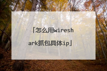 怎么用wireshark抓包具体ip