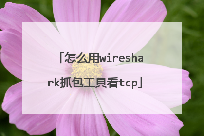怎么用wireshark抓包工具看tcp