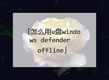 怎么用u盘windows defender offline