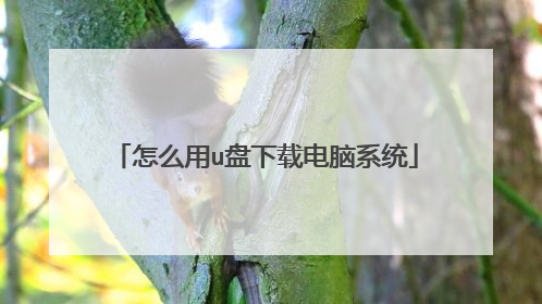 怎么用u盘下载电脑系统