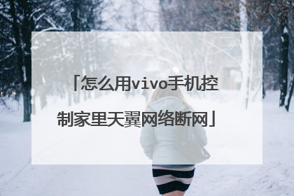 怎么用vivo手机控制家里天翼网络断网