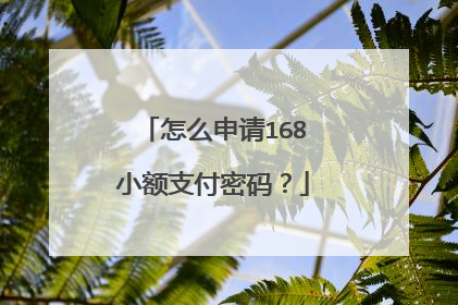 怎么申请168小额支付密码?