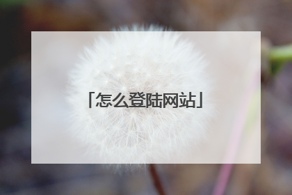 怎么登陆网站
