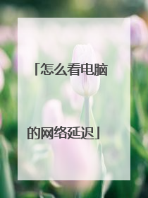 怎么看电脑的网络延迟