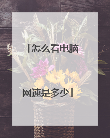怎么看电脑网速是多少