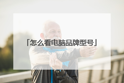 怎么看电脑品牌型号