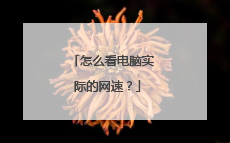 怎么看电脑实际的网速?