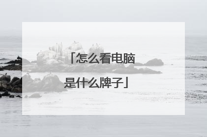 怎么看电脑是什么牌子