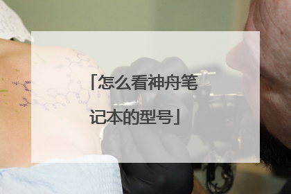 怎么看神舟笔记本的型号