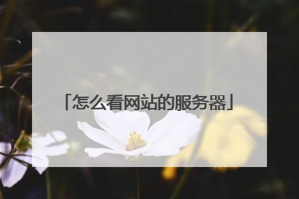 怎么看网站的服务器