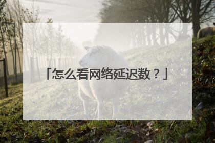 怎么看网络延迟数？