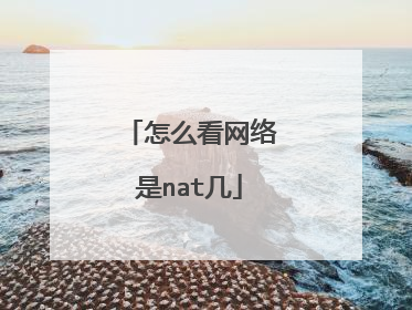 怎么看网络是nat几
