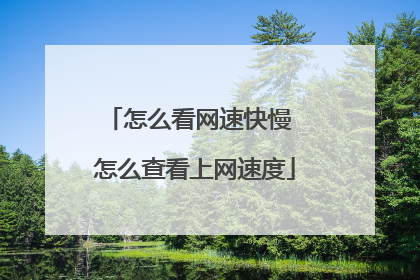 怎么看网速快慢 怎么查看上网速度