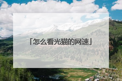 怎么看光猫的网速