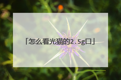 怎么看光猫的2.5g口