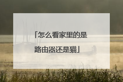 怎么看家里的是路由器还是猫
