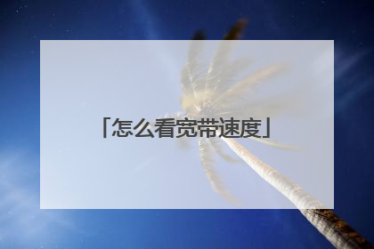 怎么看宽带速度