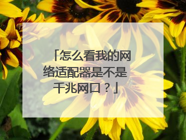 怎么看我的网络适配器是不是千兆网口？