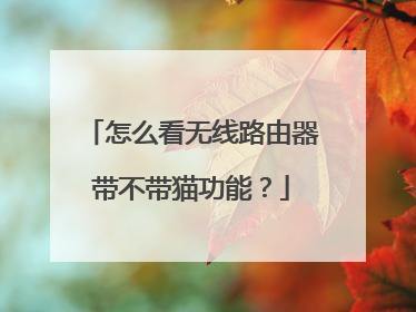 怎么看无线路由器带不带猫功能?