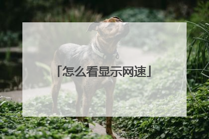 怎么看显示网速