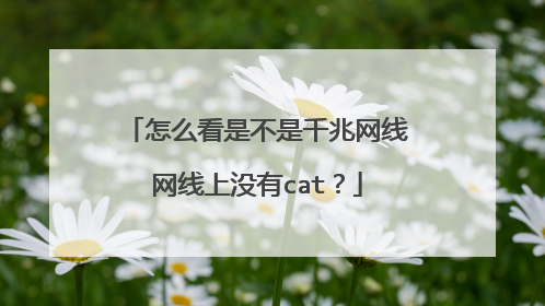怎么看是不是千兆网线网线上没有cat?