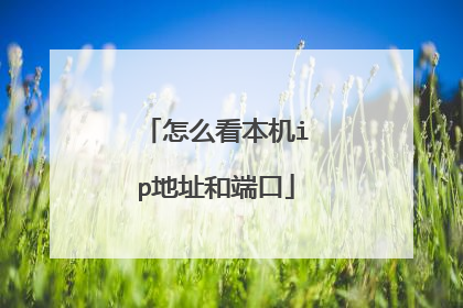 怎么看本机ip地址和端口