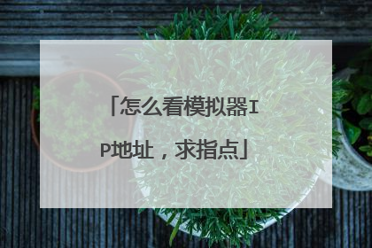 怎么看模拟器IP地址,求指点