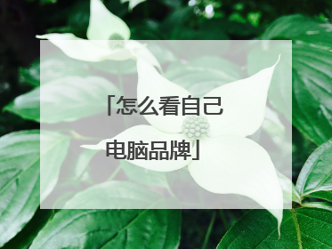 怎么看自己电脑品牌