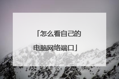 怎么看自己的电脑网络端口
