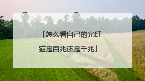 怎么看自己的光纤猫是百兆还是千兆