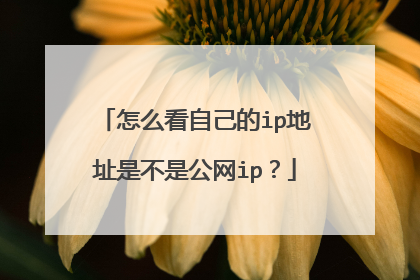 怎么看自己的ip地址是不是公网ip?