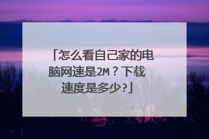怎么看自己家的电脑网速是2M?下载速度是多少?