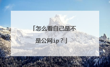 怎么看自己是不是公网ip？