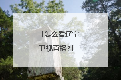 怎么看辽宁卫视直播?