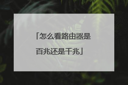 怎么看路由器是百兆还是千兆