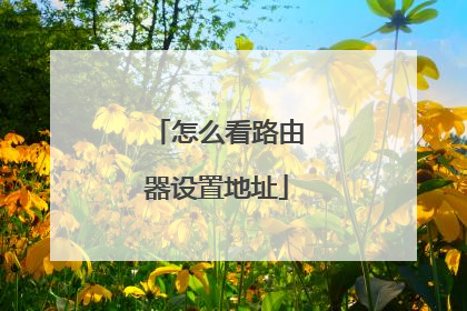 怎么看路由器设置地址