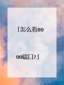 怎么看8000端口?