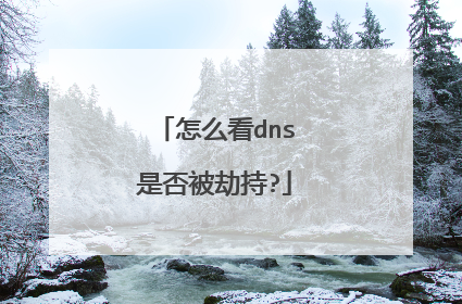 怎么看dns是否被劫持?