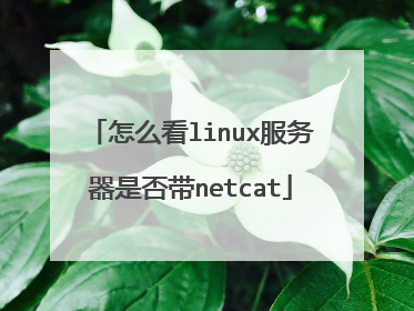 怎么看linux服务器是否带netcat