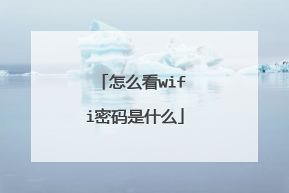 怎么看wifi密码是什么