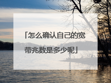 怎么确认自己的宽带兆数是多少呢