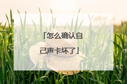 怎么确认自己声卡坏了
