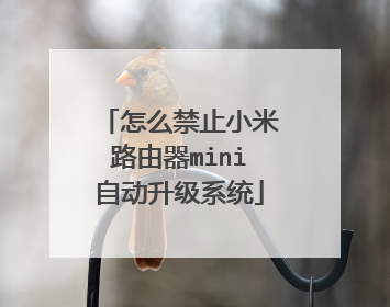 怎么禁止小米路由器mini自动升级系统