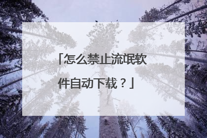 怎么禁止流氓软件自动下载？